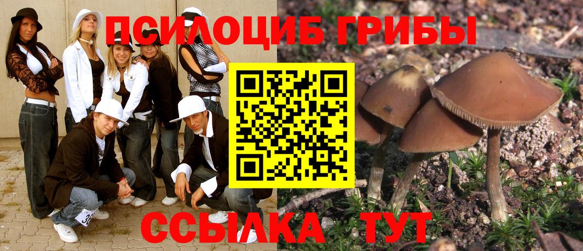 Псилоцибиновые грибы MAGIC MUSHROOMS  наркотики  Истра 