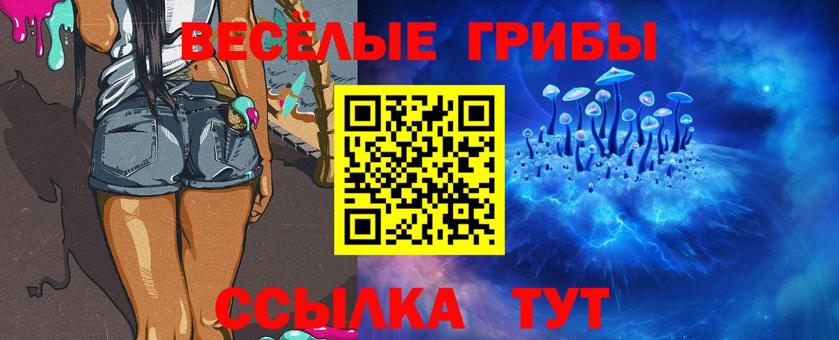 Истра  Псилоцибиновые грибы прущие грибы  Вход с VPN  Псилоцибиновые грибы мухоморы 